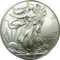 Монета 1 доллар 2014 Шагающая свобода США
