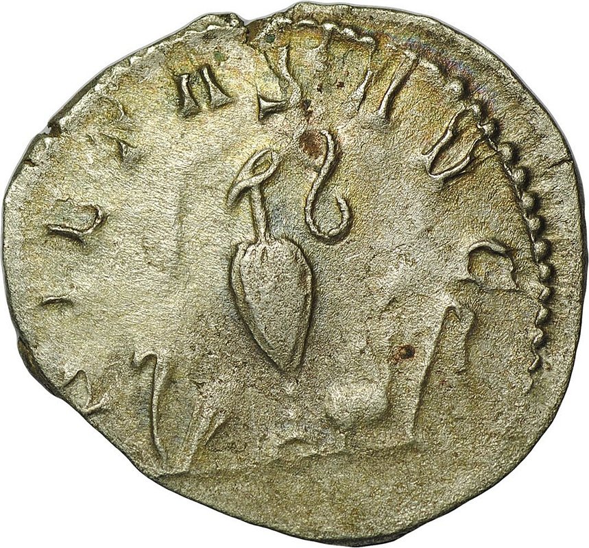 Монета Антониниан 258-260 Салонин Римская Империя