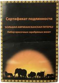 Набор 240 франков 2008 Большая пятёрка Африки Слон, Лев, Буйвол, Леопард, Носорог Конго 5 монет (футляр)