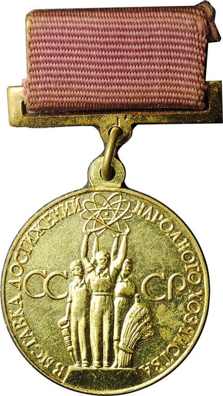 Медаль малая золотая За успехи в народном хозяйстве СССР Выставка достижений ВДНХ, булавка