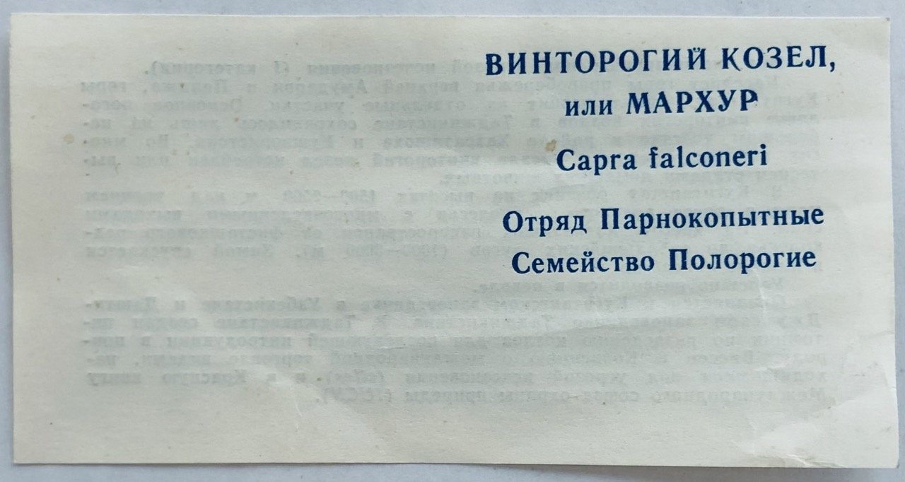 Сертификат для монеты 5 рублей 1991 ЛМД Винторогий Козел (Мархур) Красная Книга
