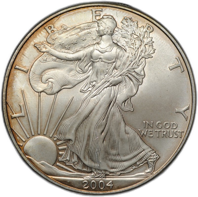 Монета 1 доллар 2004 Американский серебряный орёл (шагающая свобода) США