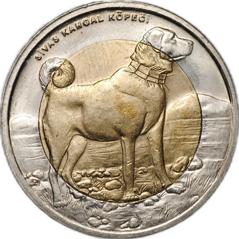 Монета 1 лира 2010 Собака Красная книга Турция