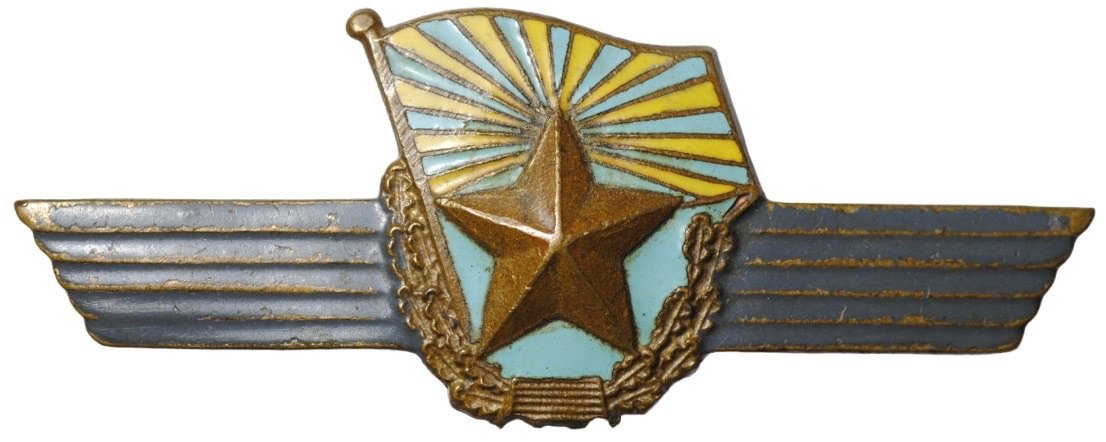 Знак За сверхсрочную службу ВВС
