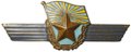 Знак За сверхсрочную службу ВВС
