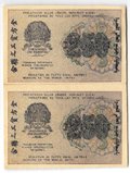 Банкнота 250 рублей 1919 в/з 250, Титов сцепка из 2