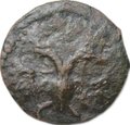 Монета Полушка 1719 ВРП