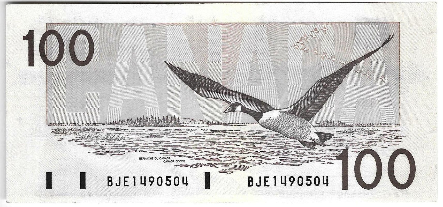 Банкнота 100 долларов 1988 Канада