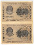 Банкнота 250 рублей 1919 в/з цифры номинала 250, Гальцов
