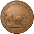 Медаль Губернская выставка сельских произведений От министерства государственных имуществ 66 мм бронза
