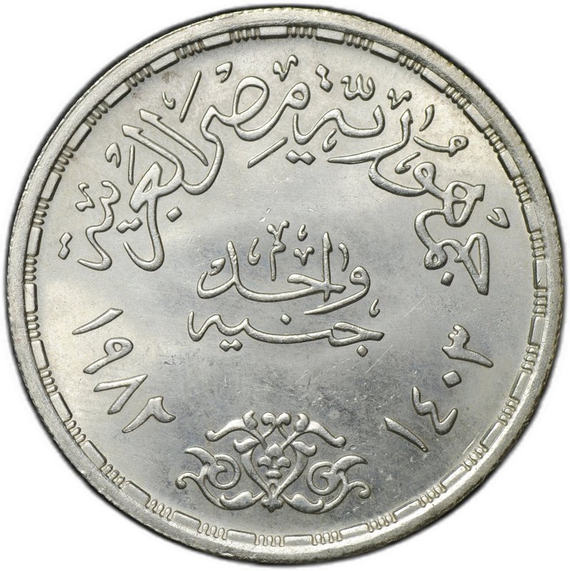 Монета 1 фунт 1982 50 лет Военно-Воздушным силам ВВС Египет