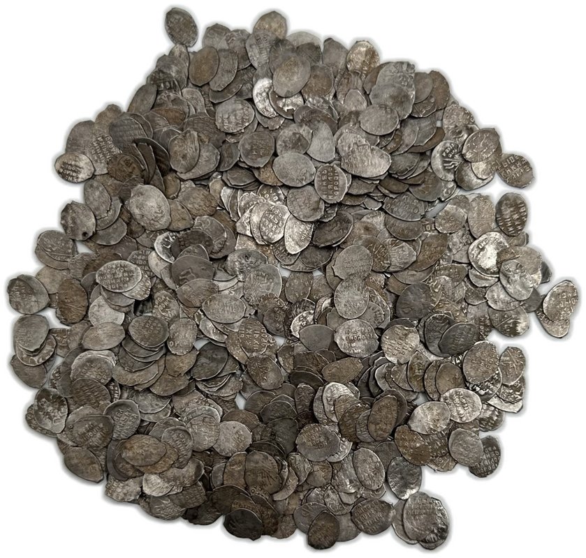 Комплекс чешуи Копейка 1606-1645 Василий Иванович Шуйский и Михаил Федорович 700 монет