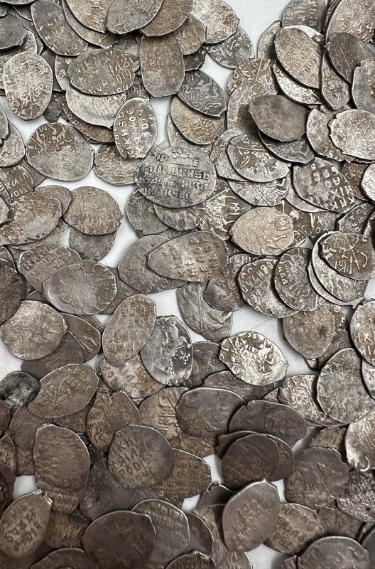 Комплекс чешуи Копейка 1606-1645 Василий Иванович Шуйский и Михаил Федорович 700 монет