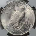 Монета 1 доллар 1922 Мирный Филадельфия США слаб NGC MS 64
