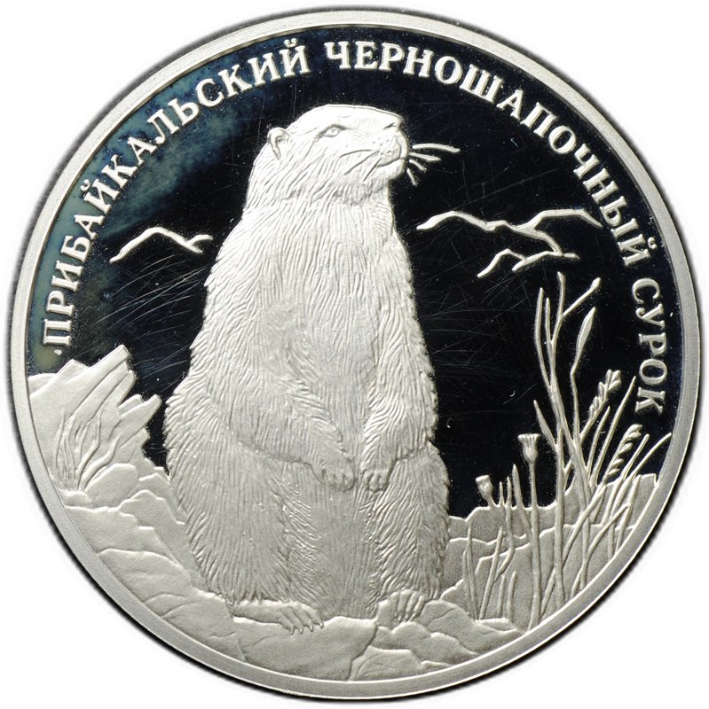 Монета 2 рубля 2008 СПМД Красная книга - Прибайкальский черношапочный сурок