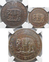 фото для Комплект Плантационных токенов 1866 A, B, C Британский Цейлон слабы NGC MS 63-65 BN 3 монеты Аверс