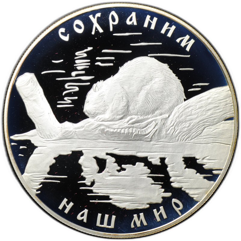 Монета 25 рублей 2008 СПМД Сохраним наш мир речной бобр