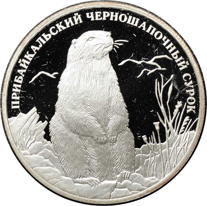 Монета 2 рубля 2008 СПМД Красная книга - Прибайкальский черношапочный сурок