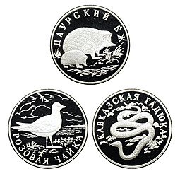 фото для Комплект 1 рубль 1999 СПМД Красная книга: Гадюка, Ёж, Чайка 3 монеты Аверс
