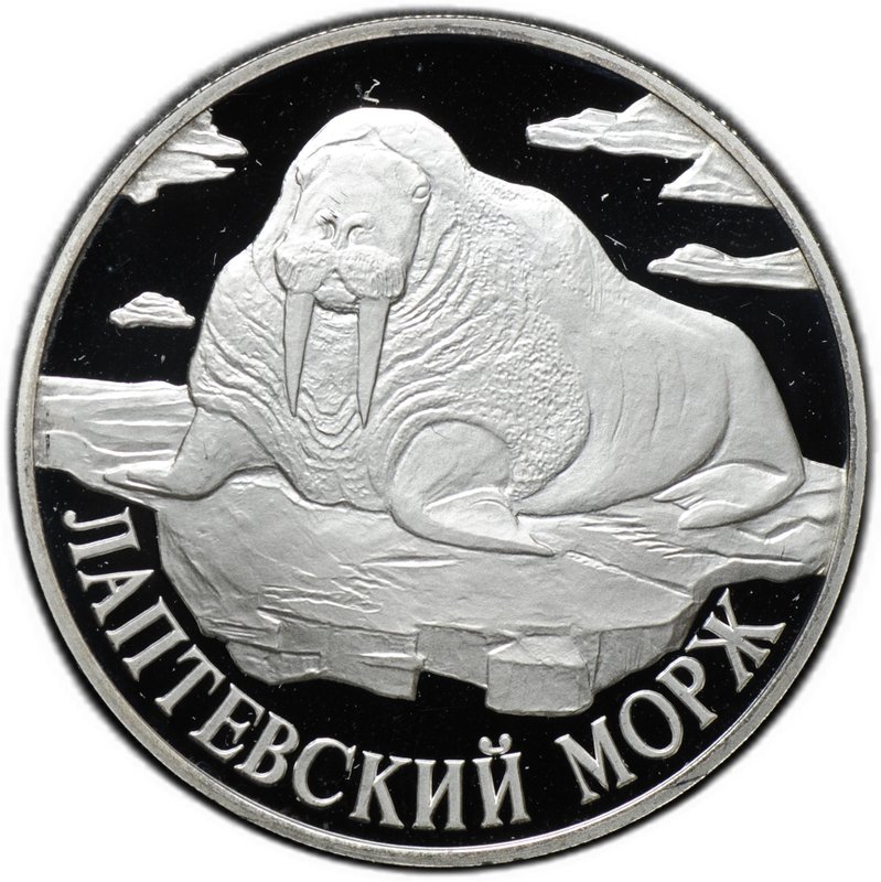 Монета 1 рубль 1998 СПМД Красная книга - Лаптевский морж