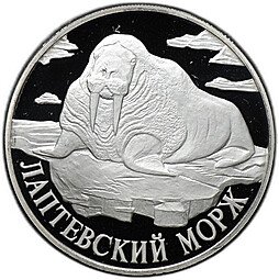 фото для Монета 1 рубль 1998 СПМД Красная книга - Лаптевский морж Аверс