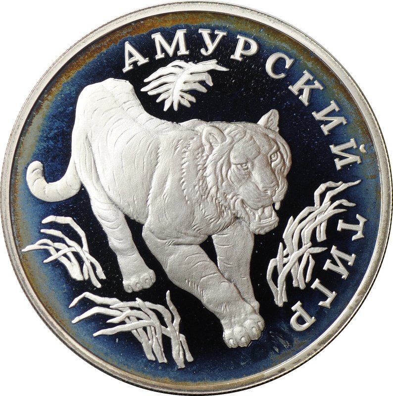 Монета 1 рубль 1993 ЛМД Красная книга - Амурский тигр