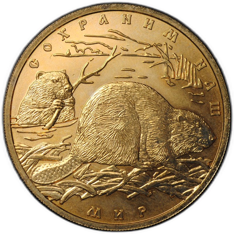 Монета 100 рублей 2008 СПМД Сохраним наш мир Речной Бобр золото 900