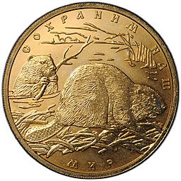 фото для Монета 100 рублей 2008 СПМД Сохраним наш мир Речной Бобр золото 900 Аверс