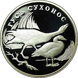 фото для Монета 1 рубль 2006 СПМД Красная книга - Гусь сухонос Аверс