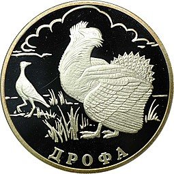 фото для Монета 1 рубль 2004 СПМД Красная книга - Дрофа Аверс