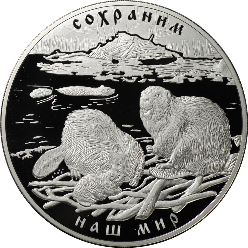 Монета 100 рублей 2008 СПМД Сохраним наш мир речной бобр серебро