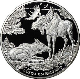 фото для Монета 100 рублей 2015 ММД Сохраним наш мир Лось Аверс