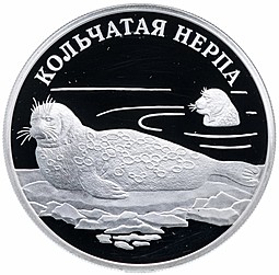 Монета 1 рубль 2007 СПМД Красная книга - Кольчатая нерпа