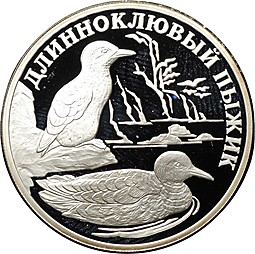 Монета 1 рубль 2005 СПМД Красная книга - Длинноклювый пыжик