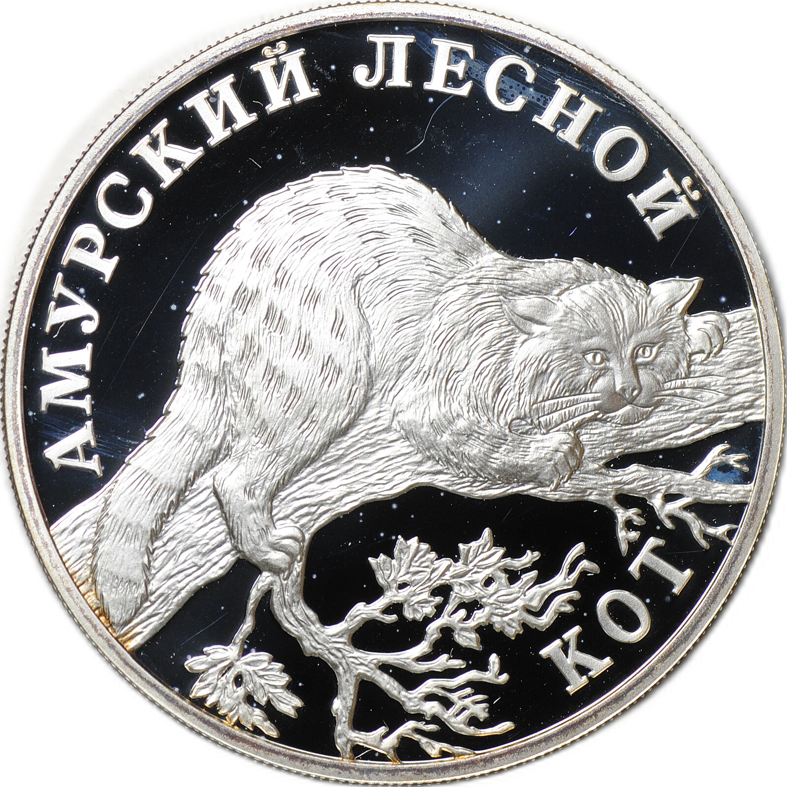 Монета 1 рубль 2004 СПМД Красная книга - Амурский лесной кот