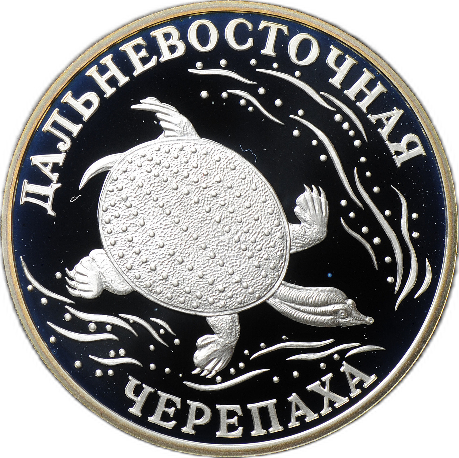 Монета 1 рубль 2003 СПМД Красная книга - Дальневосточная черепаха