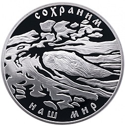 Монета 3 рубля 2008 СПМД Сохраним наш мир Речной бобр
