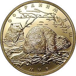 Монета 100 рублей 2008 СПМД Сохраним наш мир Речной Бобр золото