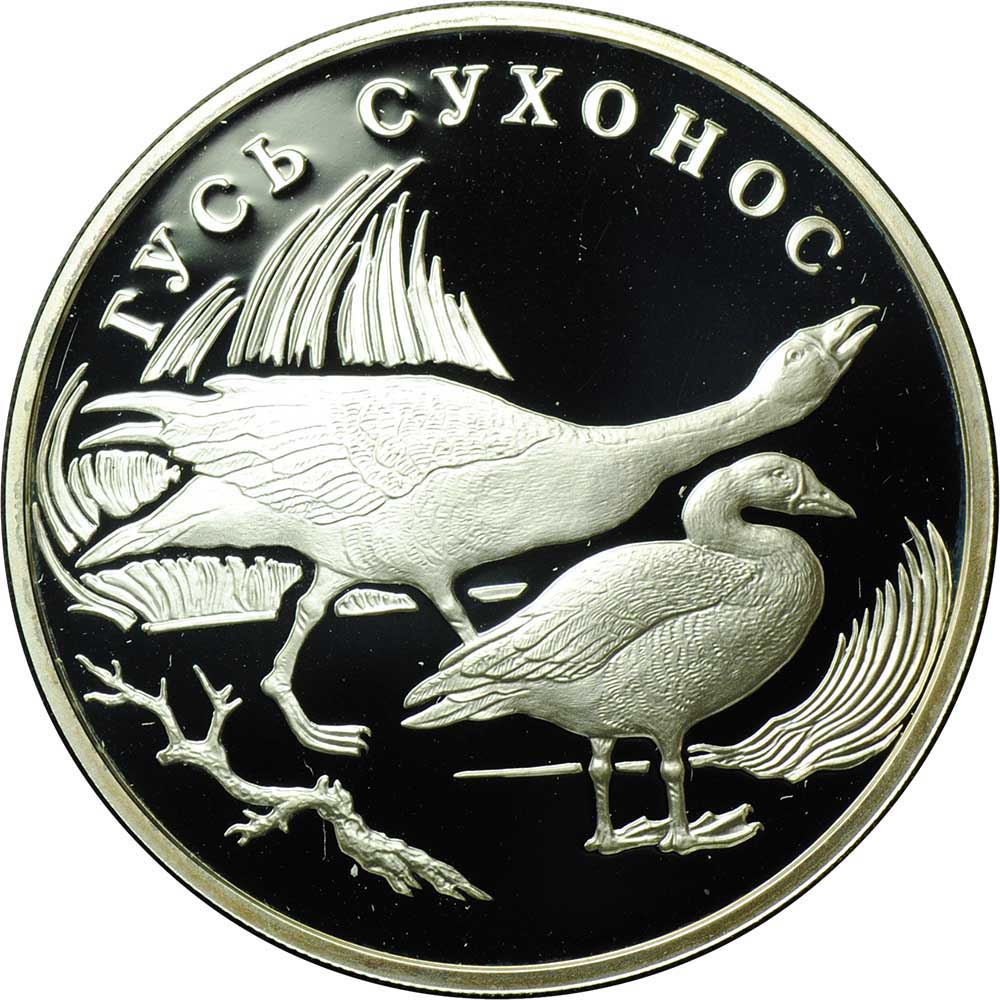Монета 1 рубль 2006 СПМД Красная книга - Гусь сухонос