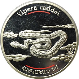 Монета 100 драмов 2007 Гадюка Радде (Vipera raddei) Армения