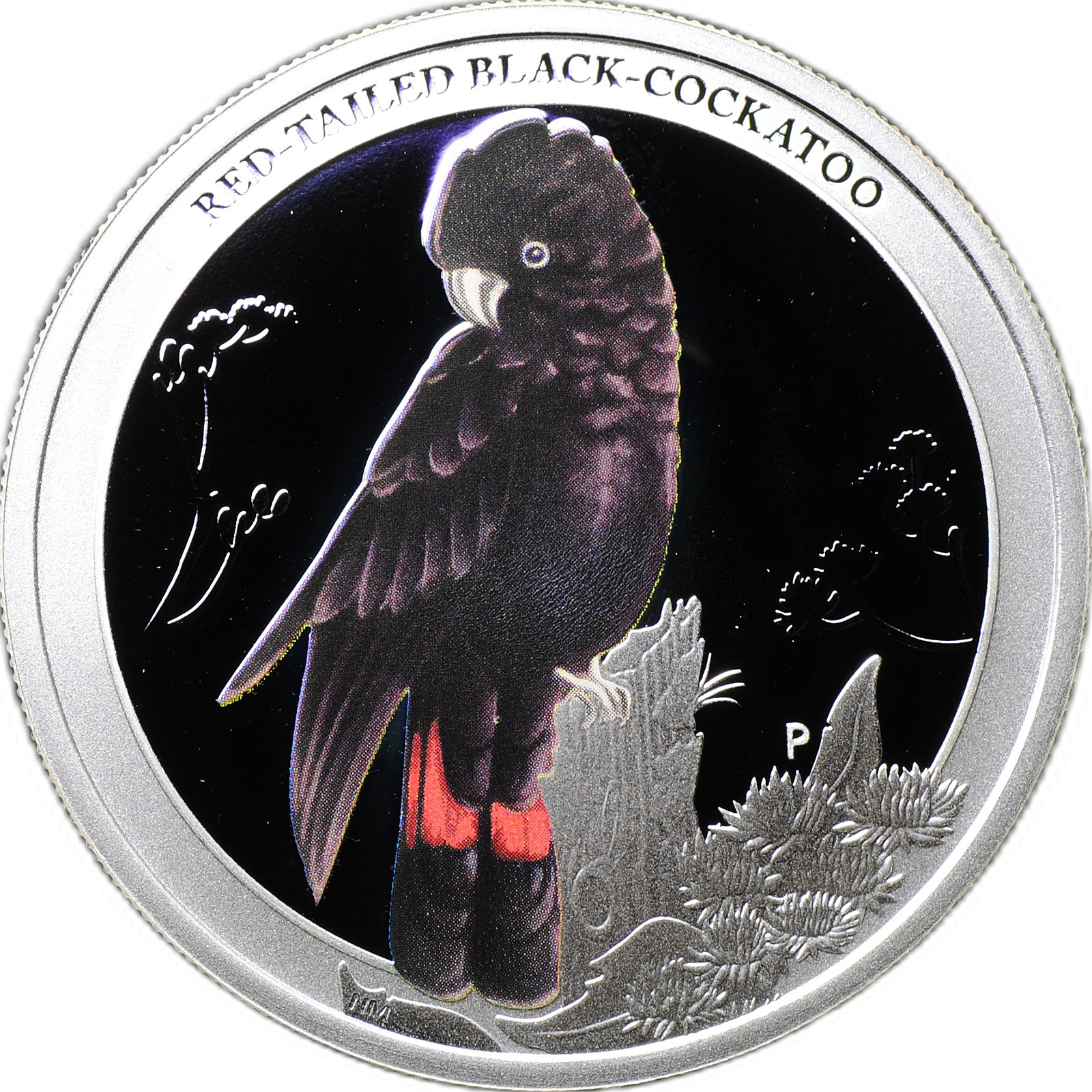 Монета 50 центов 2013 P Птицы Траурный какаду Бэнкса Австралия - купить по  цене 2 500 руб. в магазине “Империал”
